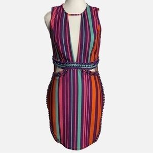 Banjul Multicolored Vertical Striped BodyCon Midi Dress with Purple Beads